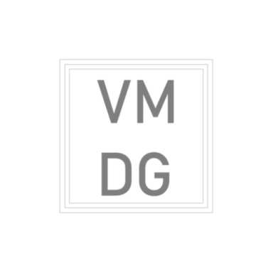 Visionary Marketing & Development Group logo