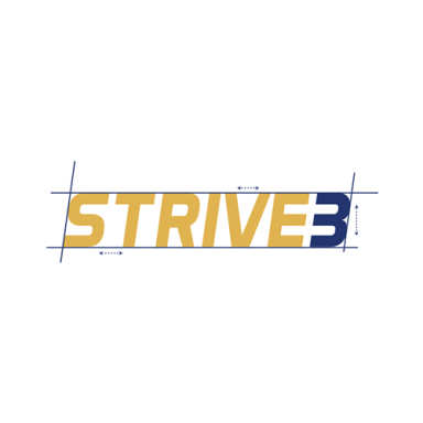 STRIVE3 logo