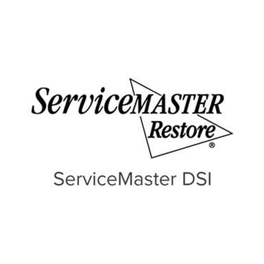 ServiceMaster DSI logo