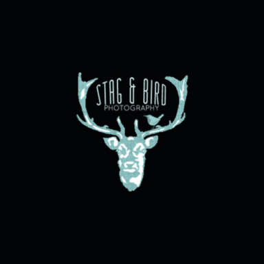 Stag & Bird Photography logo