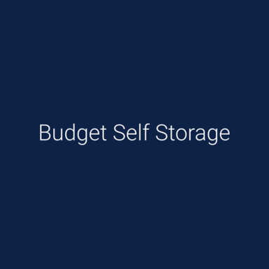 Budget Self Storage logo