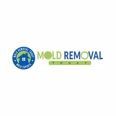 Mold Removal Today logo