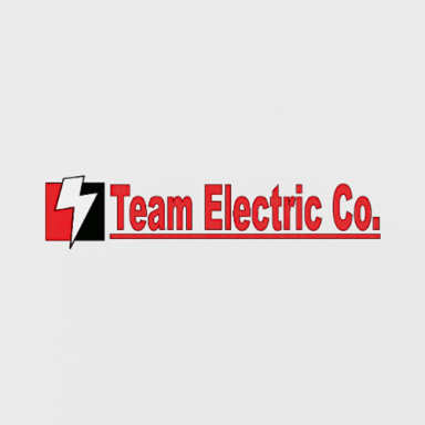 Team Electric logo