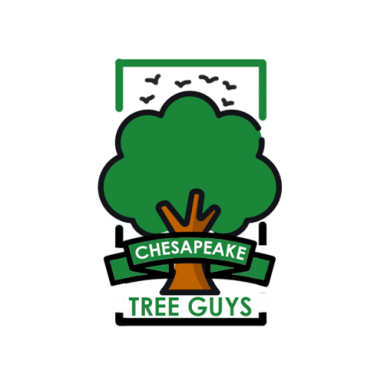 Chesapeake Tree Guys logo