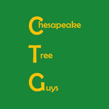 Chesapeake Tree Guys logo