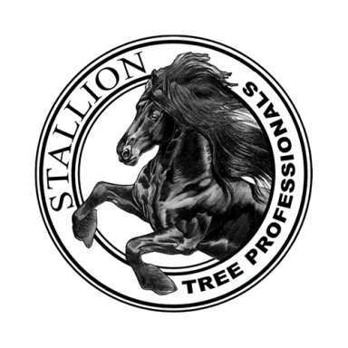 Stallion Tree Professionals logo
