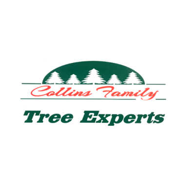 Collins Family Tree Expert logo