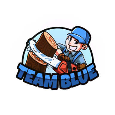 Team Blue logo
