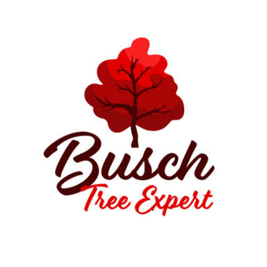 Busch Tree Expert logo