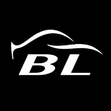 B & L Auto Sales logo