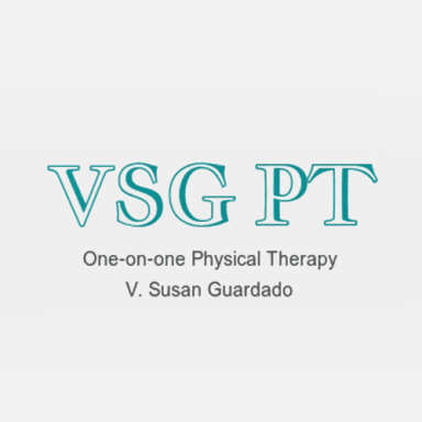 VSG PT logo