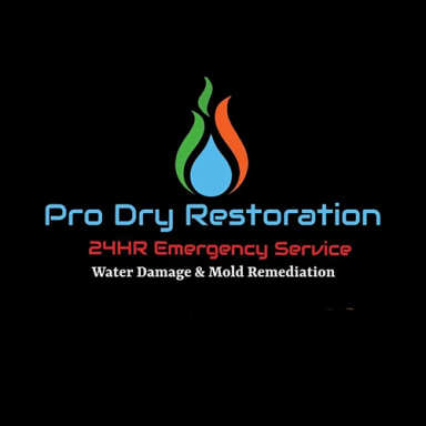 Pro Dry Restoration logo