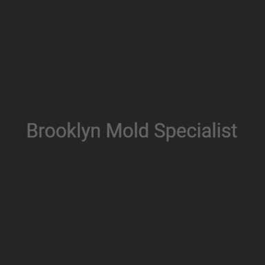 Brooklyn Mold Specialist logo