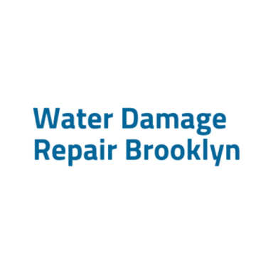 Water Damage Repair Brooklyn logo