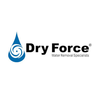 Dry Force logo