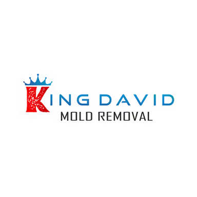 King David Mold Removal logo