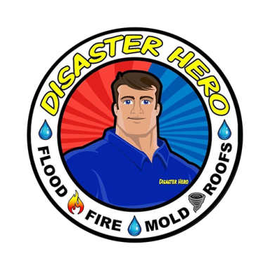 Disaster Hero logo