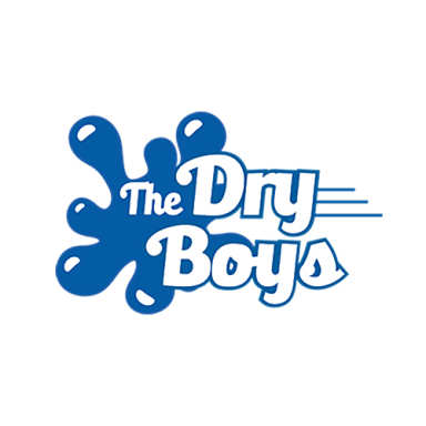 The Dry Boys logo