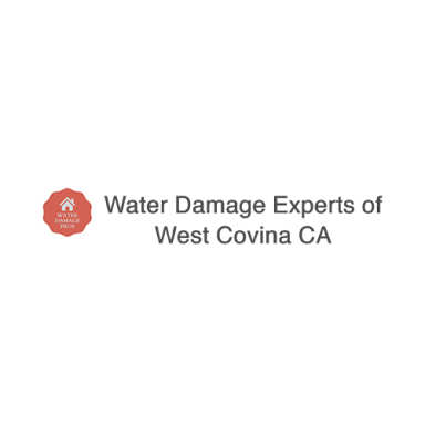 Water Damage Pros logo