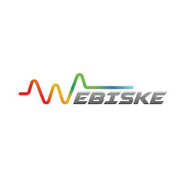 Webiske logo