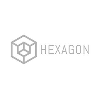 Hexagon logo