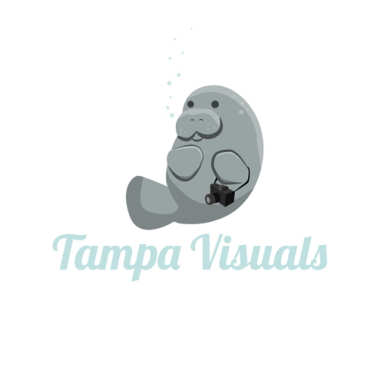 Tampa Visuals logo