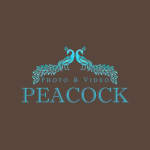 Peacock Photo & Video logo