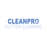 Clean Pro Gutters logo