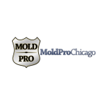 Mold Pro Chicago logo