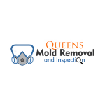Queens Mold Removal & Inspection logo