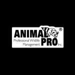 Animal Pro Inc. logo