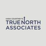 True North Associates logo