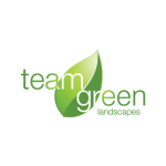 Team Green logo