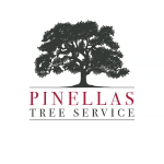 Pinellas Tree Service logo