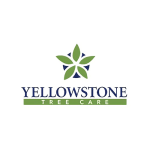 Yellow Stone Tree Care logo