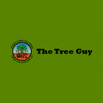 The Tree Guy logo