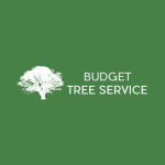 Budget Tree Service logo