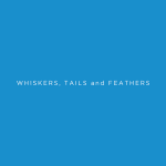 Whiskers, Tails and Feathers logo