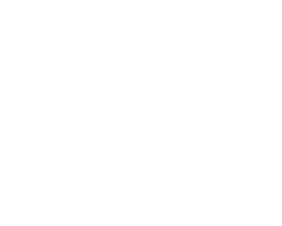 Top SEO Agency in Longmont