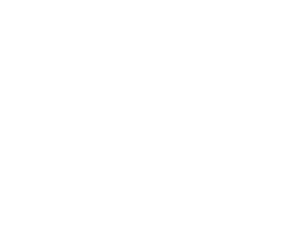 Top Web Developers in Paradise