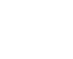 Top Credit Repair Companies in New York City