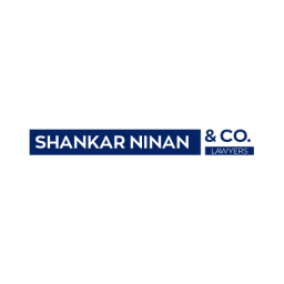 Shankar Ninan & Co. logo