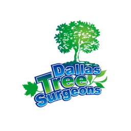 Dallas Tree Surgeons logo