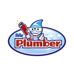 Mr Plumber logo