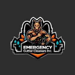 Emergency Gutter Cleaners Inc. logo