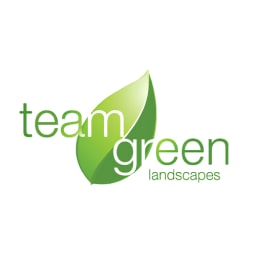 Team Green logo