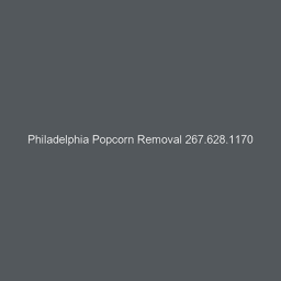 Philadelphia Popcorn Removals logo