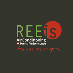 REEIS logo