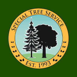 Special Tree Service logo