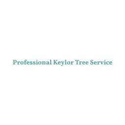 Professional Keylor Tree Service logo